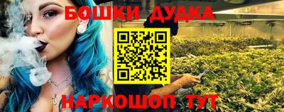 Альфа ПВП Кандалакша