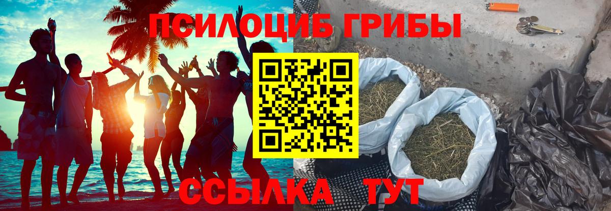 Красногорск  Псилоцибиновые грибы Psilocybe  Псилоцибиновые грибы мицелий  Вход с VPN 
